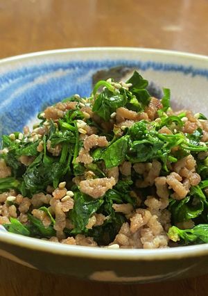 春の野菜「おこぎ」（うこぎ）のひき肉炒め-レシピのメイン写真