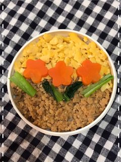 春のとりそぼろ弁当-レシピのメイン写真