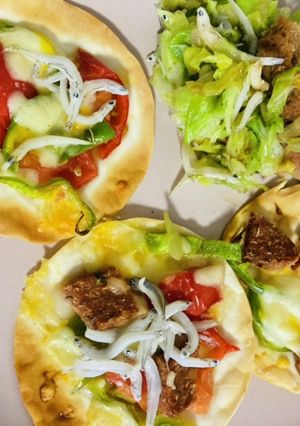 餃子の皮でミニピザ-レシピのメイン写真