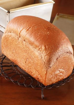 ココア食パン(HB)-レシピのメイン写真