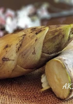 綺麗になれちゃう『筍の下拵え』-レシピのメイン写真