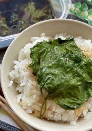 簡単やみつき♡大葉のごま油醤油漬け-レシピのメイン写真