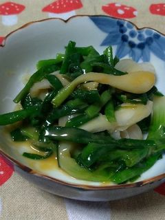 わけぎの辛子酢みそ和え☆-レシピのメイン写真