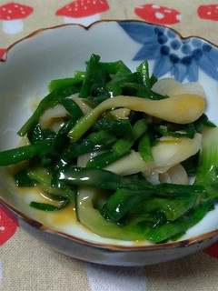 わけぎの辛子酢みそ和え☆-レシピのメイン写真