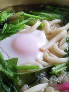 ほうれん草とフキの煮込みうどん-レシピのメイン写真