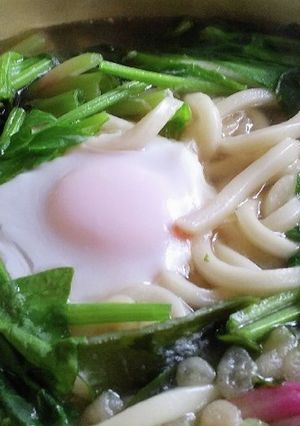 ほうれん草とフキの煮込みうどん-レシピのメイン写真
