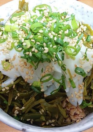 いかメカブ納豆 丼-レシピのメイン写真