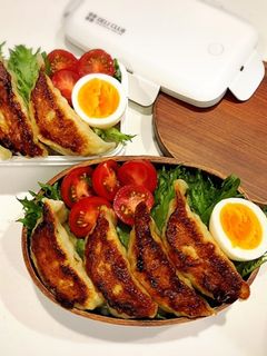 今日ものっけ弁当(焼き餃子)-レシピのメイン写真