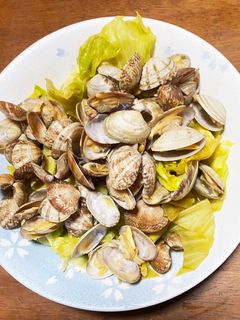 ふんわり柔らかいキャベツとあさりの酒蒸し-レシピのメイン写真