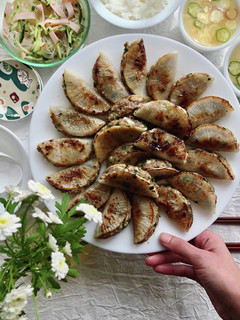 春キャベツたっぷり大根餃子-レシピのメイン写真