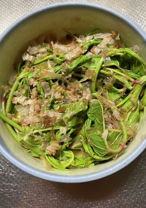 【野草】イタドリの新芽のお浸し-レシピのメイン写真