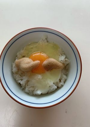 レンジで一技・味わうＴＫＧ（玉子かけご飯-レシピのメイン写真