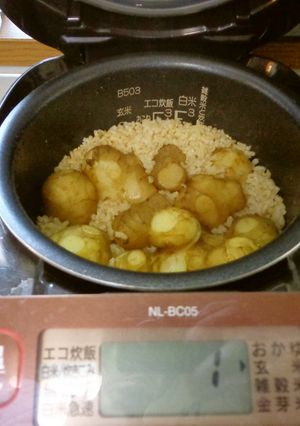 最速の菊芋ごはん-レシピのメイン写真