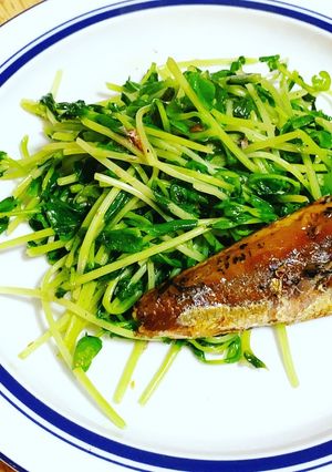 豆苗炒め(本日は鰯のレモン煮缶詰と)①-レシピのメイン写真