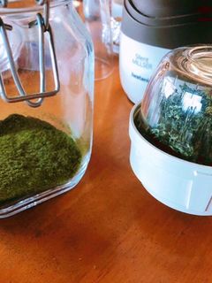 よもぎパウダーの作り方 茹でるタイプ-レシピのメイン写真