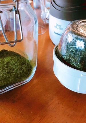 よもぎパウダーの作り方　茹でるタイプ-レシピのメイン写真