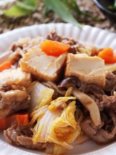 豚肉と厚揚げの白菜の甘酢炒め-レシピのメイン写真