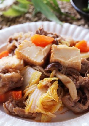 豚肉と厚揚げの白菜の甘酢炒め-レシピのメイン写真
