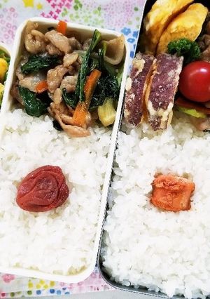 ぶた肉青梗菜炒め弁当(4.9)-レシピのメイン写真