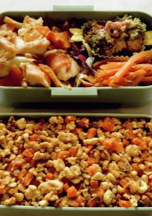 女子高生が作る低糖質弁当[day4]-レシピのメイン写真