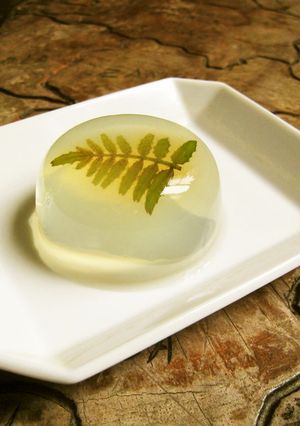 木の芽茶から作った寒天-レシピのメイン写真