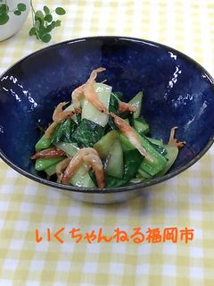 48.チンゲン菜と干しえびの中華炒め-レシピのメイン写真
