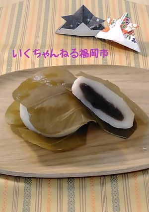 46．がめの葉もち-レシピのメイン写真