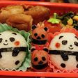 パンダおにぎり弁当!