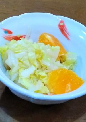旬の柑橘で♪簡単ぽんレモサラダ☆-レシピのメイン写真