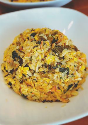 嗚呼これこれ！辛子高菜炒飯-レシピのメイン写真