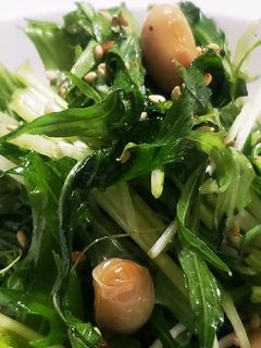 お年寄り絶賛シリーズ☆簡単☆水菜サラダ☆-レシピのメイン写真