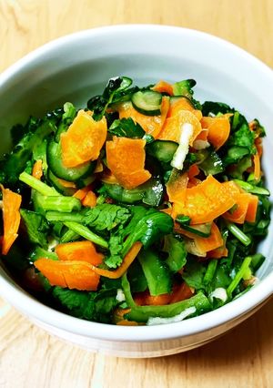 手軽にタイ料理☆ゴーヤのソムタム-レシピのメイン写真