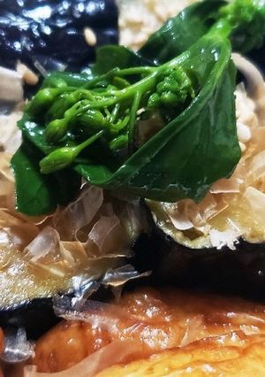 お年寄り絶賛シリーズ☆茄子揚げ浸しチン☆-レシピのメイン写真