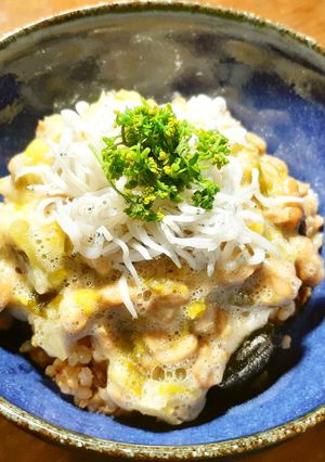納豆丼　シラスとキャベツのザワークラウト-レシピのメイン写真