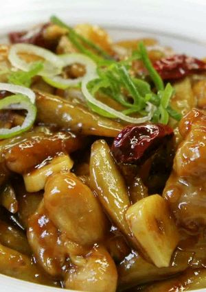 新ごぼうと鶏もも肉の照り煮-レシピのメイン写真