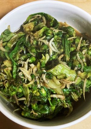 シラスとフキノトウの醤油炒め-レシピのメイン写真