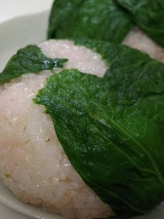 梅干しおにぎりのふきの葉包み-レシピのメイン写真