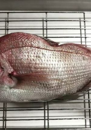 ★丸ごと一匹★鯛さばき-レシピのメイン写真
