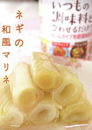 ◆ ネギの和風マリネ ◆-レシピのメイン写真