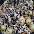 栄養満点!具沢山ひじきと豆腐の煮込み