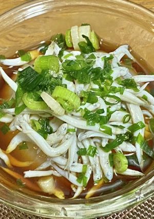 レンチン・新玉ねぎのシラスぽん酢-レシピのメイン写真