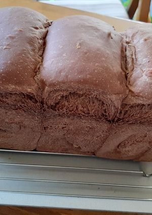 HB·食パン型ココアパン(角型、山型)-レシピのメイン写真