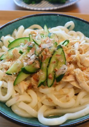 鶏ささみときゅうりのおだしの効いたうどん-レシピのメイン写真