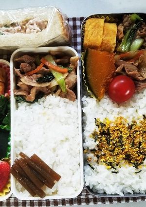 豚肉青梗菜炒め弁当(4.12)-レシピのメイン写真