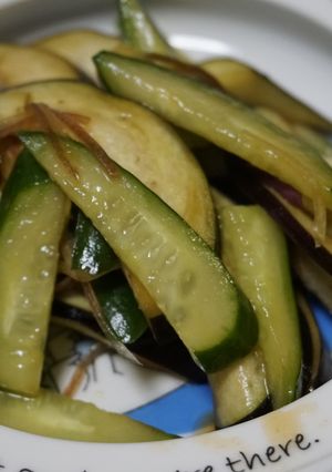 さっぱり美味しいお漬物-レシピのメイン写真