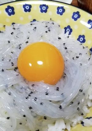 生しらす丼-レシピのメイン写真