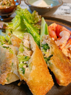 鶏ミンチと豆苗の春巻き-レシピのメイン写真