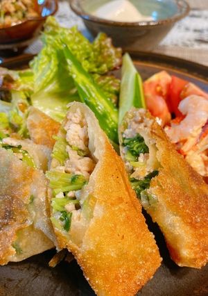 鶏ミンチと豆苗の春巻き-レシピのメイン写真
