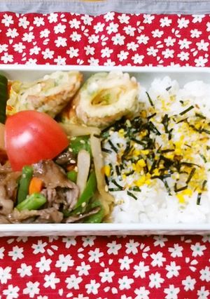 お弁当 2021.4.13-レシピのメイン写真