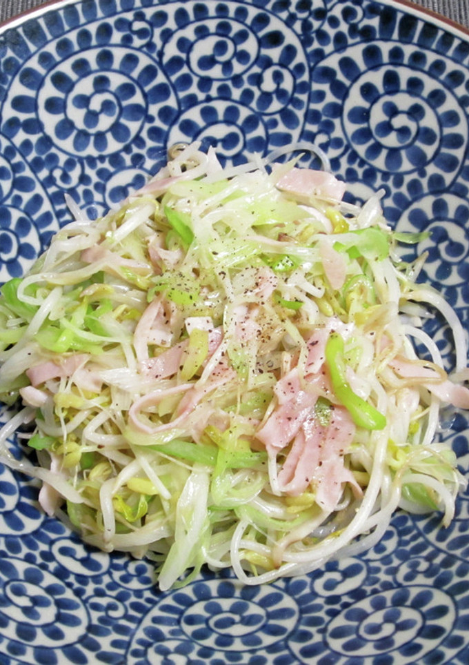 深谷ねぎと深谷もやしの炒め物-レシピのメイン写真